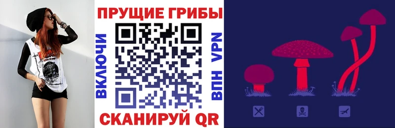 где можно купить наркотик  Новороссийск  Галлюциногенные грибы мухоморы 